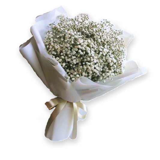 Baby’s Breath Bouquet